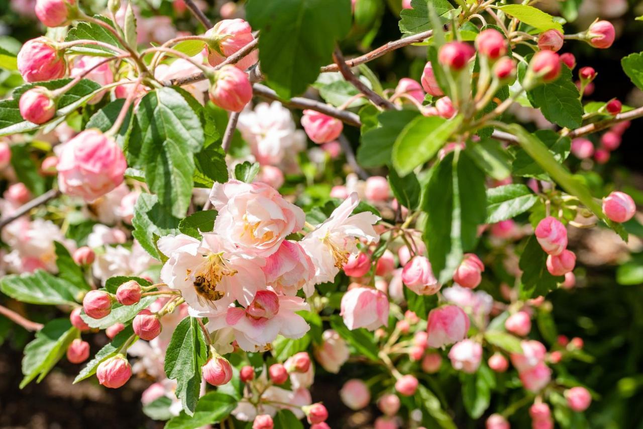 Apple Blossom Cottages สแตนธอร์ป ภายนอก รูปภาพ