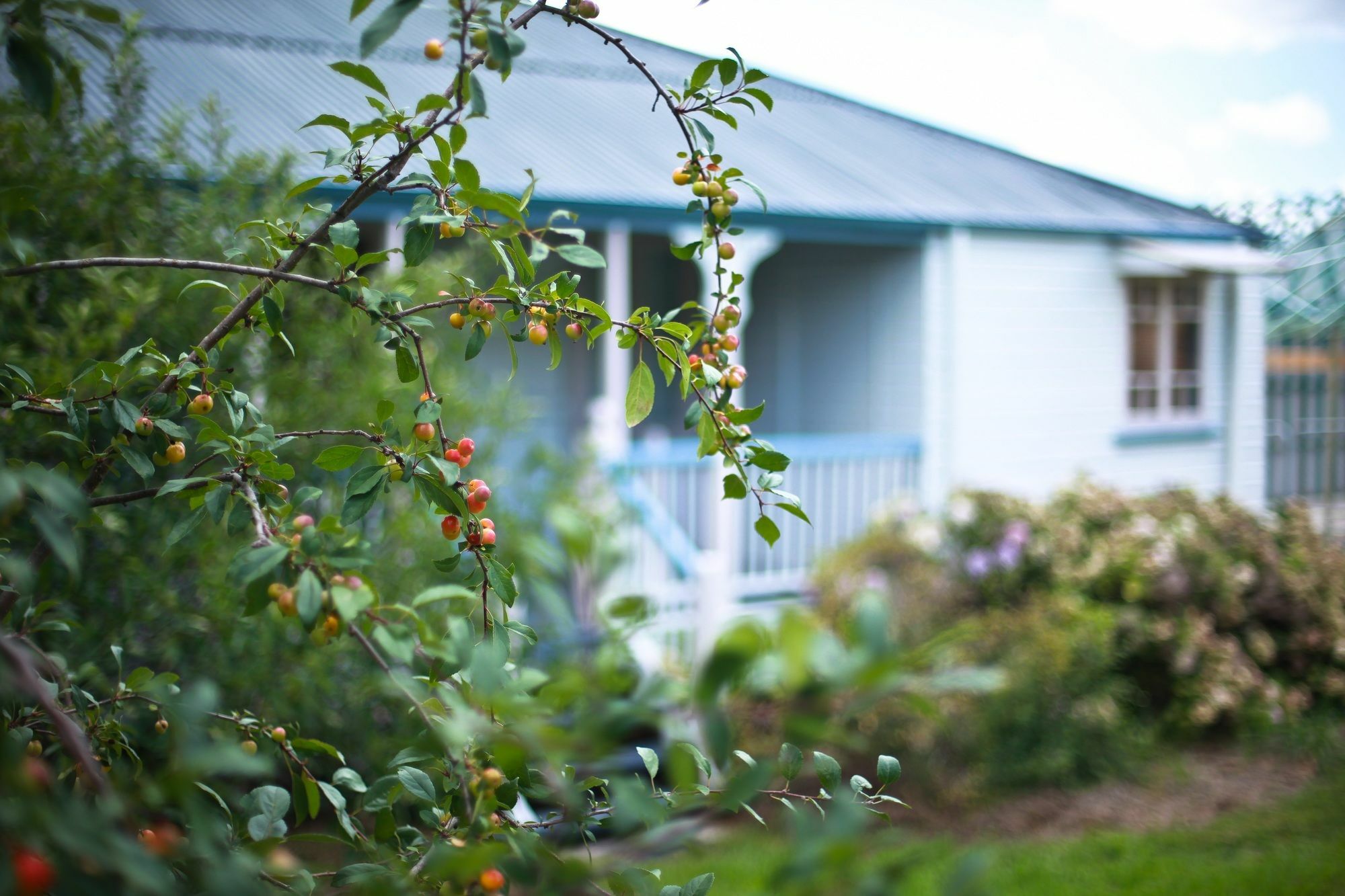 Apple Blossom Cottages สแตนธอร์ป ภายนอก รูปภาพ